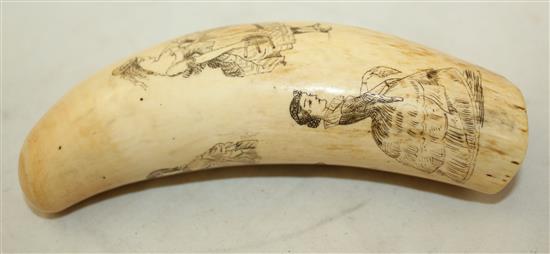 A scrimshaw whales tooth, 5.5in.